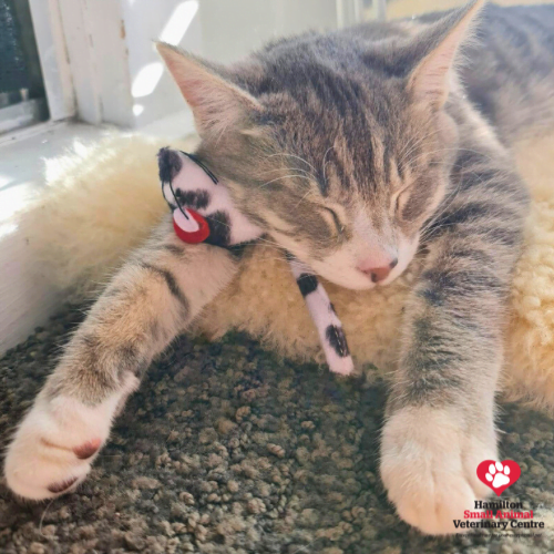 01EECCC8-02D5-4651-8B01-5640AFF6A2BB 2023-08-24 03_37_18