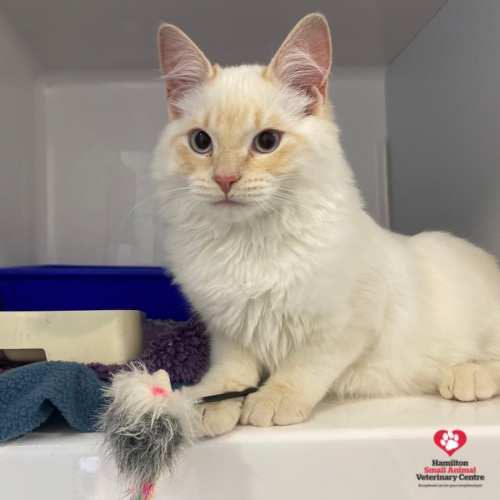 076890AD-AEEB-4C0B-9970-B2047048DFA9 2023-09-05 04_20_59