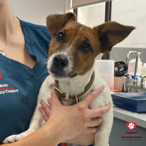 18AEBA2B-F765-4A05-80D1-0003986003F0 2023-09-05 03_52_17