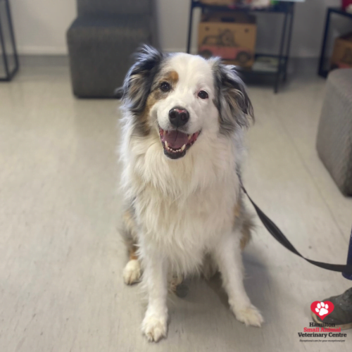 19006D61-8725-46C9-AF82-D12948A2F784 2023-08-24 03_37_14