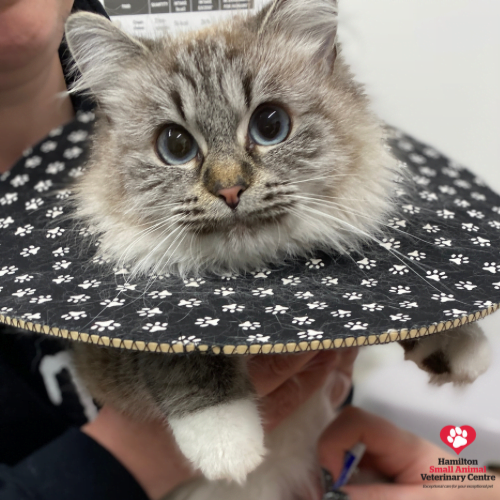 1A3A396F-63D6-4854-8AB3-FD5656B2CB5C 2023-08-24 03_56_58