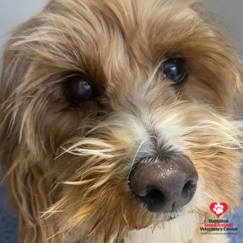 1FD96CE9-3E4A-4953-AA6C-96CC9745F695 2023-08-24 03_37_14