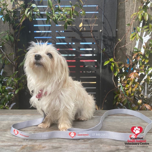 2079C5A4-3C34-487F-B862-B4AF867EC210 2023-08-24 03_56_57