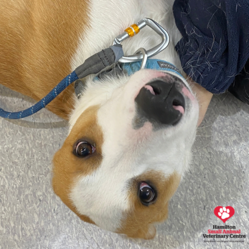 2867B4CC-0A65-4BF6-8A7D-338F5B7E964C 2023-08-24 03_56_57