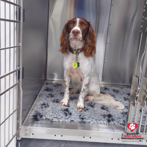 2BFDEB72-8A37-4400-BC0C-CE7376E5E102 2023-08-24 03_56_56