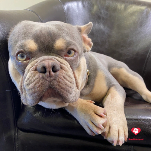 32371D0D-F192-4142-8169-14F6CAE5DDCE 2023-09-05 03_52_14