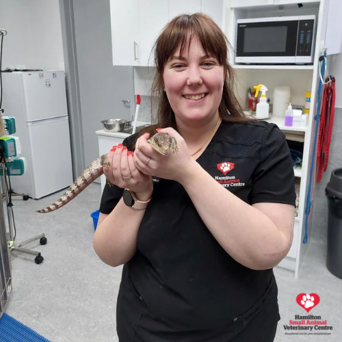 348FF7DE-0A74-4CAA-9333-9CFBB7181C2D 2023-09-05 03_52_14