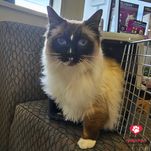 3A8FB964-28AF-4BB7-9700-4540D3694BDD 2023-08-24 03_37_15