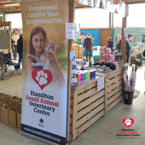 4DB0601E-C894-4573-A7F5-44ED97815144 2023-09-05 04_21_02