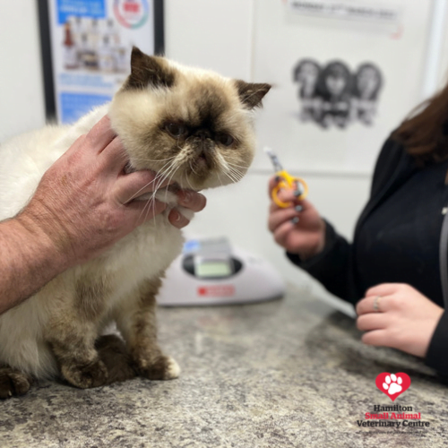 617DDABB-D335-4723-BD5D-45F531FFEE97 2023-08-24 03_56_57