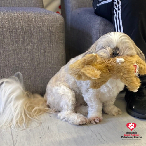 91720F93-0175-4C3F-9EA1-537210EA3E87 2023-09-05 03_52_15