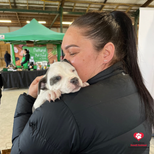 9FEEF0B8-E3C2-4F09-8AE0-E9D2A31A0119 2023-09-05 04_21_01