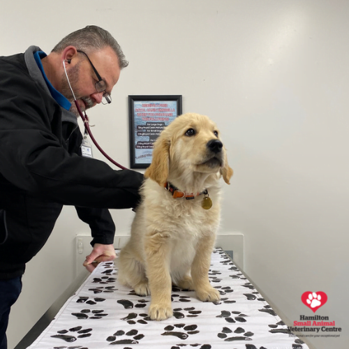 B002F0DA-84A5-438D-B01C-D90305CFA642 2023-08-24 03_37_24