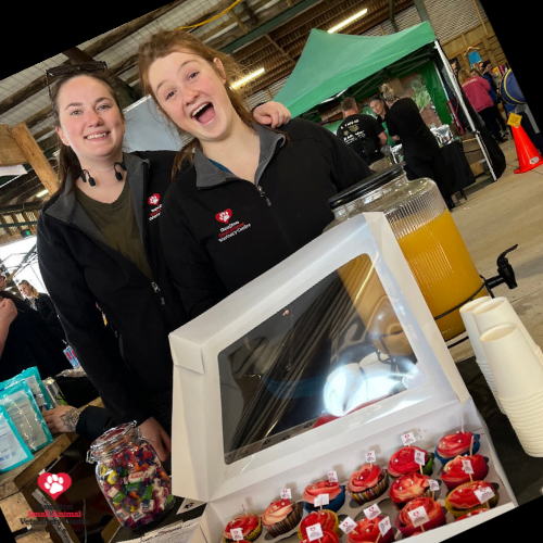 B42F9DD4-EF66-4A3F-B807-33BDDE6261F1 2023-09-05 04_21_01