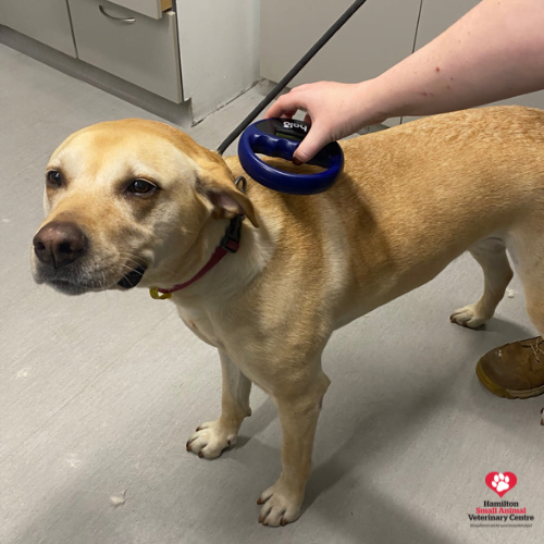 BE140916-CA4C-4B7A-9238-65CFAB62D2BF 2023-09-05 03_52_15