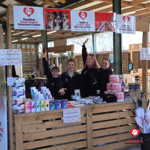 C8DFC024-7424-47AE-BA3D-A03FD9B86031 2023-09-05 03_52_16