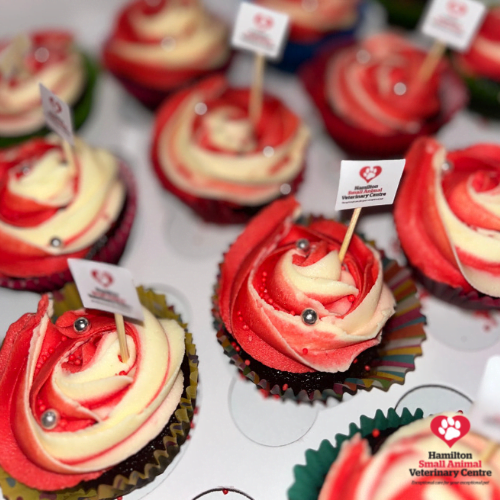 CFEBB0AA-42B4-4B44-9D17-0757206D52A5 2023-09-05 04_21_00