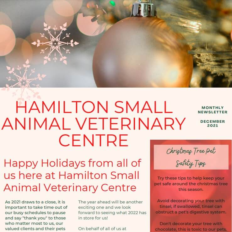Hamilton Vets December Newsletter 2021