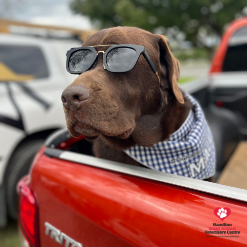 EAAC1684-A013-4BFF-8C6C-615D2E338A28 2023-09-05 04_21_01