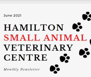 Hamilton Vets June 21 Newsletter