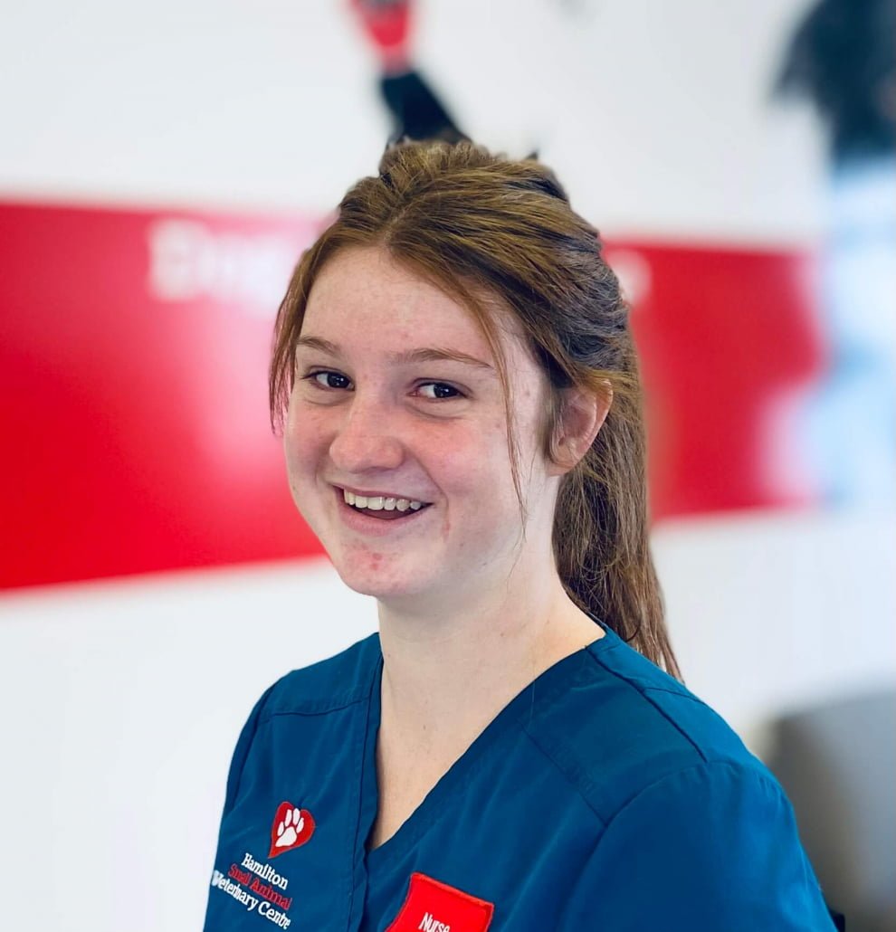 Meet the Team at Hamilton Small Animal Veterinary Centre Hamilton Vets