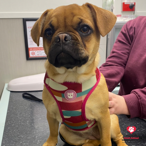 NALA 2023-09-07 03_41_07