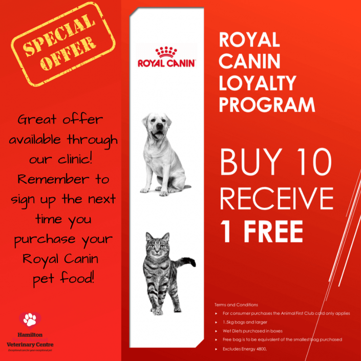 Royal Canin Promo 2