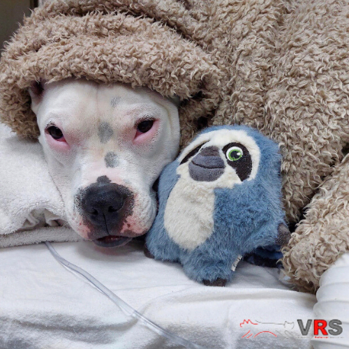 Untitled (500 × 500px) 2023-09-05 04_20_58 1