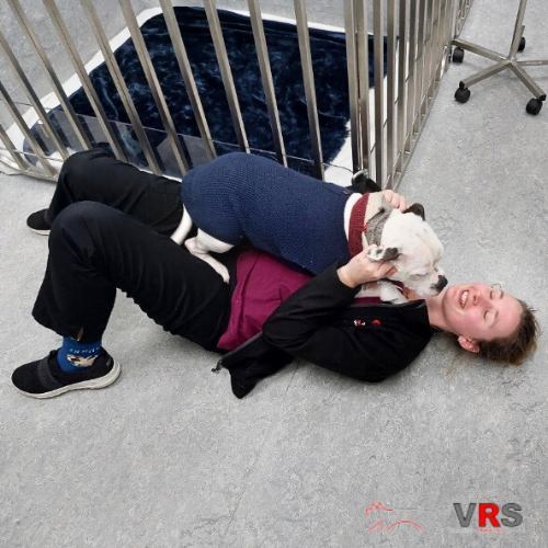 Untitled (500 × 500px) 2023-09-05 04_20_58