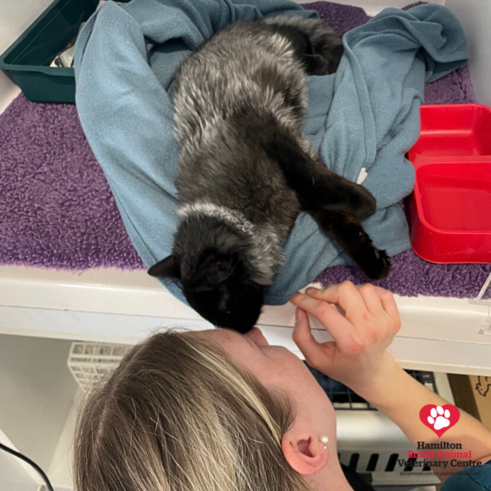 Untitled (Instagram Post (Square)) 2023-08-24 03_56_58