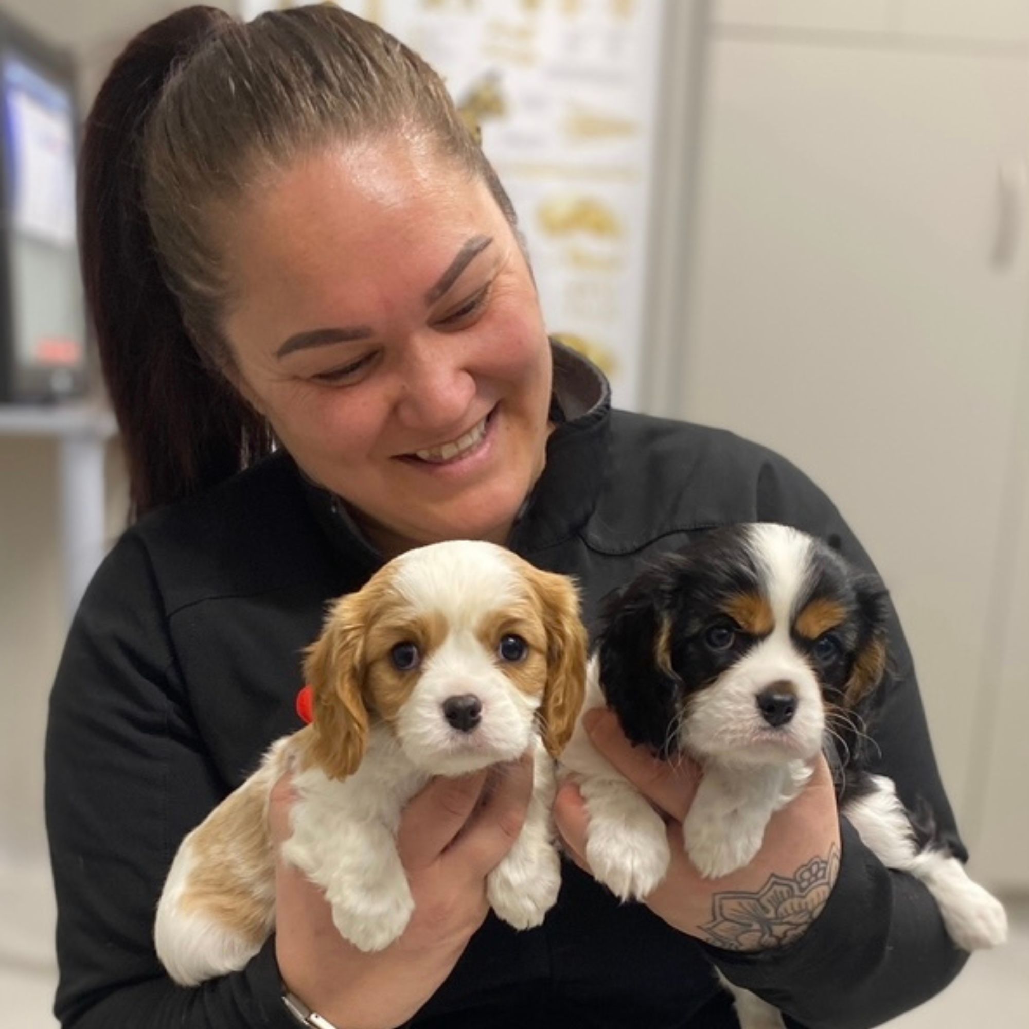 Vet Nurse Carmen 2000px